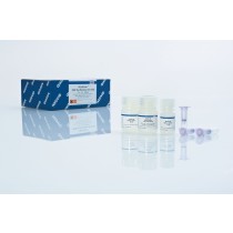 【QIA28006】MinElute PCR 產物純化試劑組 (250)-福利品